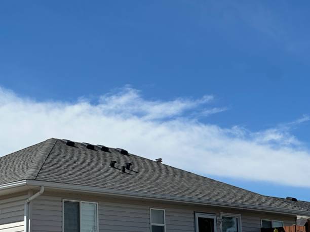 Best Gutter Installation and Repair  in Chino Valley, AZ